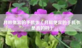 月租便宜的手机卡（月租便宜的手机卡是真的吗）