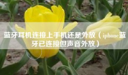 蓝牙耳机连接上手机还是外放（iphone蓝牙已连接但声音外放）