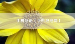 手机泡泡（手机泡泡网）