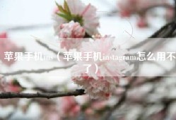 苹果手机ins（苹果手机instagram怎么用不了）