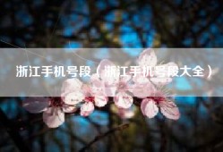 浙江手机号段（浙江手机号段大全）