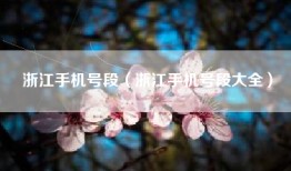 浙江手机号段（浙江手机号段大全）