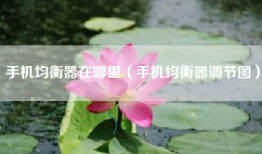 手机均衡器在哪里（手机均衡器调节图）
