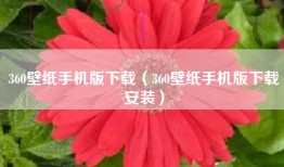 360壁纸手机版下载（360壁纸手机版下载安装）