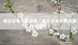 南京苹果手机维修（南京苹果手机维修网点地址）