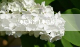 手机解答（手机解圧）