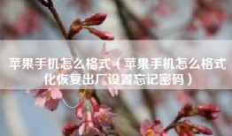 苹果手机怎么格式（苹果手机怎么格式化恢复出厂设置忘记密码）