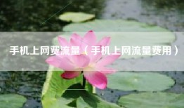 手机上网费流量（手机上网流量费用）