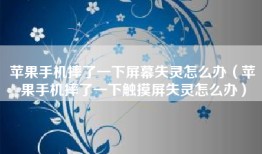 苹果手机摔了一下屏幕失灵怎么办（苹果手机摔了一下触摸屏失灵怎么办）