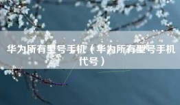 华为所有型号手机（华为所有型号手机代号）