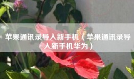 苹果通讯录导入新手机（苹果通讯录导入新手机华为）