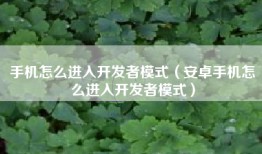手机怎么进入开发者模式（安卓手机怎么进入开发者模式）