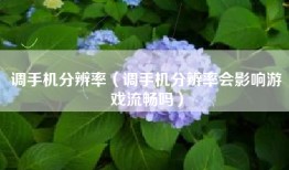 调手机分辨率（调手机分辨率会影响游戏流畅吗）