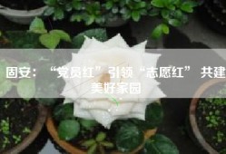 固安：“党员红”引领“志愿红” 共建美好家园