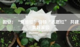 固安：“党员红”引领“志愿红” 共建美好家园