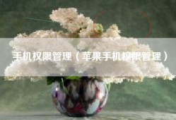 手机权限管理（苹果手机权限管理）