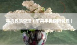 手机权限管理（苹果手机权限管理）