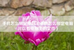 手机怎么绑定电脑（手机怎么绑定电脑可以看电脑上的文件）