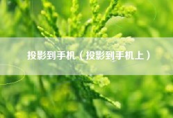 投影到手机（投影到手机上）