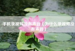 手机录视频没有声音（为什么录视频没有声音）