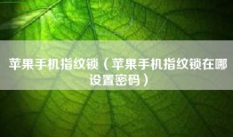 苹果手机指纹锁（苹果手机指纹锁在哪设置密码）