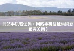 网站手机验证码（网站手机验证码刷新服务关闭）