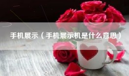 手机展示（手机展示机是什么意思）