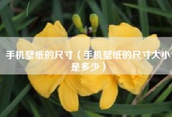 手机壁纸的尺寸（手机壁纸的尺寸大小是多少）