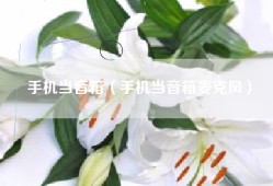 手机当音箱（手机当音箱麦克风）