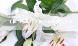 手机当音箱（手机当音箱麦克风）