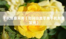 手机屏幕常亮（如何设置苹果手机屏幕常亮）