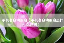 手机老自动重启（手机老自动重启是什么意思）