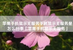 苹果手机显示无服务手机显示无服务是怎么回事「苹果手机显示无服务」