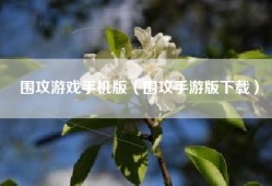 围攻游戏手机版（围攻手游版下载）