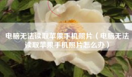 电脑无法读取苹果手机照片（电脑无法读取苹果手机照片怎么办）