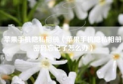 苹果手机隐私相册（苹果手机隐私相册密码忘记了怎么办）