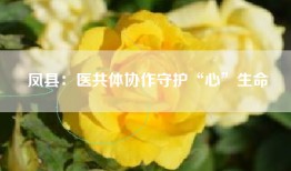 凤县：医共体协作守护“心”生命