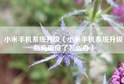 小米手机系统升级（小米手机系统升级后充电慢了怎么办）