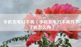 手机充电灯不亮（手机充电灯不亮开不了机怎么办）