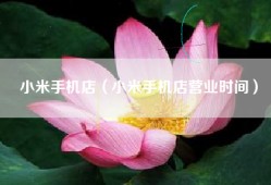 小米手机店（小米手机店营业时间）
