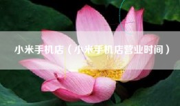 小米手机店（小米手机店营业时间）