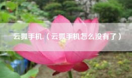 云狐手机.（云狐手机怎么没有了）