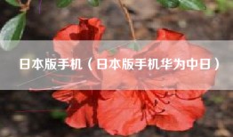 日本版手机（日本版手机华为中日）