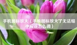 手机图标放大（手机图标放大了无法缩小应该怎么调）