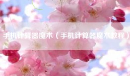 手机计算器魔术（手机计算器魔术教程）