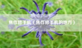 焦作修手机（焦作修手机的地方）