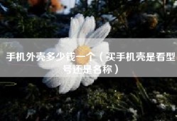 手机外壳多少钱一个（买手机壳是看型号还是名称）