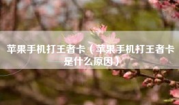 苹果手机打王者卡（苹果手机打王者卡是什么原因）