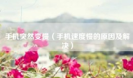 手机突然变慢（手机速度慢的原因及解决）