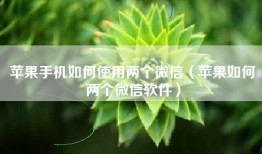 苹果手机如何使用两个微信（苹果如何两个微信软件）